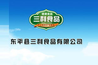 東平湖牌特制紅薯粉條袋裝 加盟批發(fā)優(yōu)勢(shì)與廣告設(shè)計(jì)策略